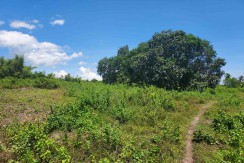 LOT PROPERTY IN SIBULAN, NEGROS ORIENTAL